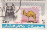 Stamps United Arab Emirates -  Arabe y dromedario