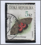 Stamps Czech Republic -  Mariposas Protegidas: Catocala Electa