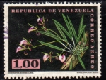 Stamps Venezuela -  1962 Flores: Brassavola nodosa