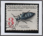 Stamps Czechoslovakia -  Escarabajos: Meloe Violaceus