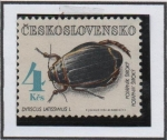 Stamps Czechoslovakia -  Escarabajos: Dyticus Latis