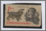 Stamps Czechoslovakia -  Perros d' Caza: Coker
