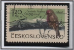 Sellos de Europa - Checoslovaquia -  Aves d' Montaña: Lasser Redpoll