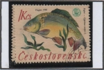Stamps Czechoslovakia -  Peces: Carpa