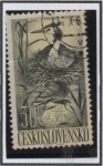 Stamps Czechoslovakia -  Pajaros: Somomurjo