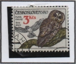 Stamps Czechoslovakia -  Búhos: Strix aluco