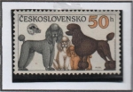 Stamps Czechoslovakia -  Caniches
