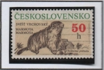 Stamps Czechoslovakia -  Animales Protegidos: Marmota