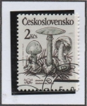 Stamps Czechoslovakia -  Amanita Virosa