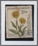 Sellos de Europa - Checoslovaquia -  Flores: Doronicus