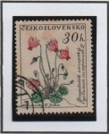 Stamps Czechoslovakia -  Flores: Cyclamen