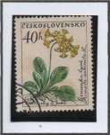 Sellos de Europa - Checoslovaquia -  Flores: Primrose