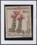 Stamps Czechoslovakia -  Flores: Hen-and-chiclens