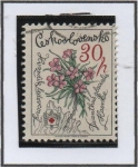 Stamps Czechoslovakia -  Flores: Pinks