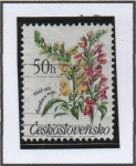 Stamps Czechoslovakia -  Antirrhirum