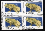 Stamps Spain -  1975 B4 Fauna: Sapo partero Edifil 2275