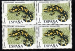 Sellos de Europa - Espa�a -  1975 B4 Fauna: Salamandra Edifil 2272