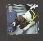 Stamps United Kingdom -  Perro de aduanas