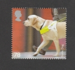 Stamps United Kingdom -  Perro guía para ciegos