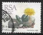 Sellos de Africa - Sud�frica -  Flores - Cheiridopsis peculiaris