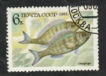 Sellos de Europa - Rusia -  5018 - Fauna marina