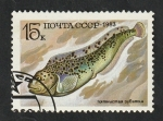 Stamps Russia -  5019 - Fauna marina