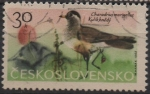 Stamps Czechoslovakia -  Chorlito Carambolo