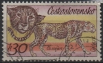 Stamps Czechoslovakia -  Guepardo