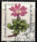 Sellos del Mundo : Europa : Alemania : Sellos de Bienestar: Flores alpinas en peligro de extinción.