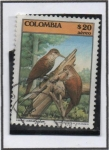 Stamps : America : Colombia :  Aves Trepa Troncos