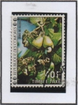 Stamps Colombia -  Anacardos