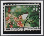 Stamps : Africa : Comoros :  Mariposa Blanca