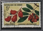 Stamps Republic of the Congo -  Myrianthemum