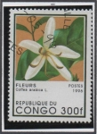 Sellos de Africa - Rep�blica del Congo -  Coffea Arabica