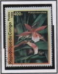 Stamps Republic of the Congo -  Phalus Tankervilleae