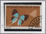 Stamps Republic of the Congo -  Mariposas: Timon Lolaus