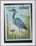 Stamps Republic of the Congo -  Ardea Melanocephala