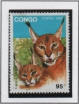 Stamps Republic of the Congo -  Caracal