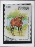 Sellos del Mundo : Africa : Rep�blica_del_Congo : Euryceros Taurotragus