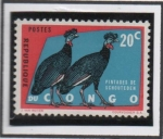Stamps Democratic Republic of the Congo -  Pintadas con Cresta