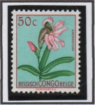 Stamps Belgium -  Flores: Angraecun