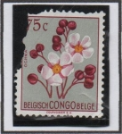 Stamps Belgium -  Flores: Ochna