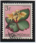 Stamps Belgium -  Flores: Costus