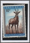 Stamps Belgium -  Antilope