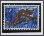 Stamps Belgium -  Bushbaby d' cola gruesa