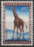 Stamps Belgium -  Jirafa