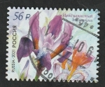 Sellos del Mundo : Europe : Russia : Flor, Iris scariosa