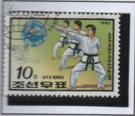 Sellos de Asia - Corea del norte -  Campeonato Mundial d' Taekwondo: Patrón d' Equipo