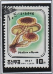 Sellos de Asia - Corea del norte -  Hongos Pholiota Adiposa
