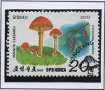 Stamps North Korea -  Setas y Frutos Silvestres: Amanita caesarea y Schizandra